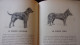 CHIENS DE BERGER - CHIENS DE GARDE -CHIENS D'AGREMENT. - ROBIN V. - 1933  / 275 PAGES FOX LEVRIER BARZOI CARLIN - Animaux