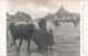 CELEBRITES - Artistes - Salon De 1909 - Retour De Foire En Berry, Par Fernand Maillaud - Carte Postale Ancienne - Künstler