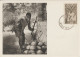 AOF - 1952 - CARTE MAXIMUM PUB MEDICALE IONYL ! OBLITERATION DAKAR (SENEGAL) - NOIX DE COCOS / COTE D'IVOIRE - Lettres & Documents