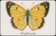 GERMANY PD13/98 Schmetterling 1 - Posthörnchen - DD: 5811 - P & PD-Series: Schalterkarten Der Dt. Telekom