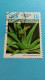 CUBA - Timbre 1994 : Plantes Médicinales - L'Aloe Vera - Usati