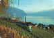 SUISSE - Montreux - Vue Sur Le Lac Léman Et Dents Du Midi - Carte Postale - Montreux