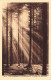 FRANCE - Les Vosges Pittoresques - Forêt De Sapin - Carte Postale Ancienne - Andere & Zonder Classificatie