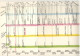 Manuale Monete Medioevali Nel Veneto Europa E Bacino Mediterraneo Circolo Numismatico Monticello Conte Otto - Andere & Zonder Classificatie