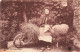 FOLKLORE - Costumes - Une Jeune Bergère - Carte Postale Ancienne - Kostums