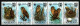 Swaziland 1982 - Mi-Nr. 398-402 ** - MNH - Eulen / Owls - Gefaltet / Folded (1) - Swaziland (1968-...)