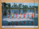 KOV 700-7 - Water Skiing, Ski Nautique, FLORIDA - Wasserski