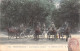 FRANCE - Paris Moderne - Les Femmes Cochers - Le Ralliement Au Bois - Colorisé - Carte Postale Ancienne - Petits Métiers à Paris