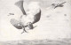 Illustrateur - Thirion - Avion - Combat D'aviation -  Bataille Aerienne - Guerre 1914 - 1915 - Carte Postale Ancienne - Autres & Non Classés