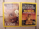 Delcampe - Lot De 12 N° De La Revue National Geographic En Anglais 1985-2002. Original English Edition - Geografía