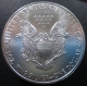 Stati Uniti D'America - 1 Dollaro 2011 - Aquila Americana - KM# 273 - Ohne Zuordnung