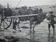 CPA 50 Manche Le Cotentin GOUVILLE  - Retour De La Récolte Du Varech  Attelage Avec Une Vache  Timbrée 1908 - Blainville Sur Mer