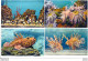 LOT De 12 Cartes De MONACO L' Aquarium ( Propriété Du Musée Océanographique ) Poisson Exotique - Oceanografisch Museum