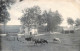 BELGIQUE - Paysage Des Andennes - Virton - Campagne - Vaches Près D'une Ferme - Nels - Carte Postale Ancienne - Virton