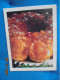 Simply Special Pillsbury 1980 - Nordamerika