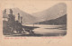 E164) GRUSS Aus LUNZ - NÖ - Lunzersee Mit Scheiblingstein - LITHO 1902 - Lunz Am See