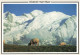 FRANCE - Chamonix Mont Blanc - Vue Sur Le Sommet - Colorisé - Carte Postale - Chamonix-Mont-Blanc