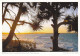 AK 186960 AUSTRALIA - Sunshine Coast Im Noosa Heads N.P. - Sunshine Coast