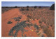 AK 186994 AUSTRALIA - Buschmelonen Bei Cave Hill - Other & Unclassified