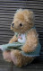 Teddy Bear Styled In Italy By Box - Ours