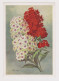 Russia USSR Soviet Union 1957 Postal Stationer Card PSC, Entier, Ganzachen, Flowers By I. Romanov (62780) - 1950-59