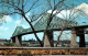 20768 Le Pont JACQUES CARTIER Reliant MONTREAL à La Rive Sud  MONTREAL CANADA   ( 2 Scans) - Montreal