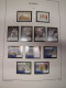 Delcampe - Sammlung Polen 2000-2009 Postfrisch Komplett + B Incl. Blocks (51020) - Unused Stamps