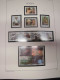 Delcampe - Sammlung Polen 2000-2009 Postfrisch Komplett + B Incl. Blocks (51020) - Unused Stamps