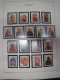 Delcampe - Sammlung Polen 2000-2009 Postfrisch Komplett + B Incl. Blocks (51020) - Unused Stamps