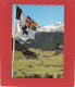 SUISSE----SEGNES Bei DISENTIS --( Graubünden )---voir 2 Scans - Disentis/Mustér