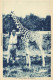 PC AFRICA RÉGION DE BANGUI GIRAFE FRENCH EQUATORIAL AFRICA (a51556) - Centrafricaine (République)