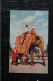 INDE : Elephant Ride - India