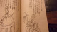 CHINE LIVRE POUR ENFANT ILLUSTRE DEBUT XX EME II - Libri Vecchi E Da Collezione
