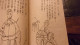 CHINE LIVRE POUR ENFANT ILLUSTRE DEBUT XX EME II - Livres Anciens