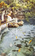 A.103 - Bermuda - Devils Hole - 1909 - Bermuda