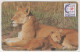 ZAMBIA - Lion, 100 U, FAKE - Sambia