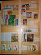 Delcampe - [5] Burundi & Ruanda Urundi - Accumulation De Timbres - MNH & MH & Oblitérés (12 Photos) - Colecciones