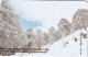 CYPRUS - Winter At Troodos(0119CY, Without Notch), Tirage %60000, 05/19, Used - Cipro