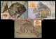 LIBYA 1996 Fossils (3 Maximum-cards) - Fossili