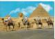 CP EGYPTE -circulée/timbrée - Pyramids