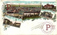 Czech Republic BRUNN BRNO Gruss Aus Brunn  LITHO  (TCHEQUIE) - Sin Clasificación