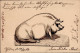 Vorläufer 1884 Schwein Handgemalt I-II Cochon - History