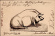 Vorläufer 1884 Schwein Handgemalt I-II Cochon - Geschichte