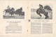 The Big Rodeo - Thrills And Spills / Official Guide (Vintage Booklet ~1940s/1950s) - Equitation