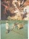 SERIE 5 INTERI POSTALI VATICANO FDC  FAO (MX497 - Entiers Postaux