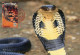 LIBYA 1996 Reptiles Snakes Cobra "Elapidae" (maximum-card) #6 - Serpents