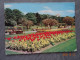 BOURNEMOUTH GARDEN  FLOWER BEDS - Bournemouth (ab 1972)