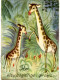 GIRAFE Et Son Petit - Het Nieuwsgierige Girafje - Carte Livre Enfant - Girafes