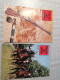 12 Revues  Gazette Des Armes  1981 - Francese