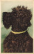 ANIMAUX & FAUNE - Chien - Irish Water Spaniel - Carte Postale Ancienne - Chiens